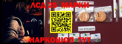 a pvp Новокубанск