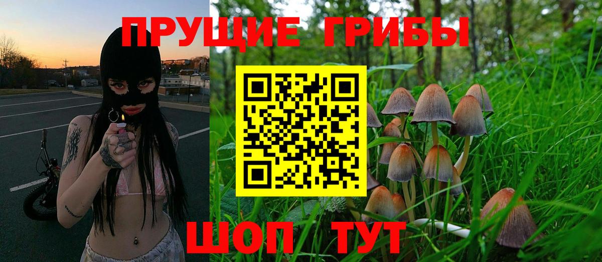 Троицк  Псилоцибиновые грибы мицелий  где можно купить   Вход с VPN  Галлюциногенные грибы мицелий 